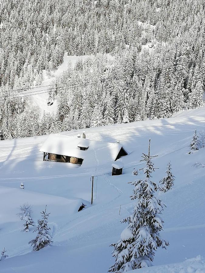 Studio Au Clos Des Gentianes Collet D'Allevard Apartman Kültér fotó