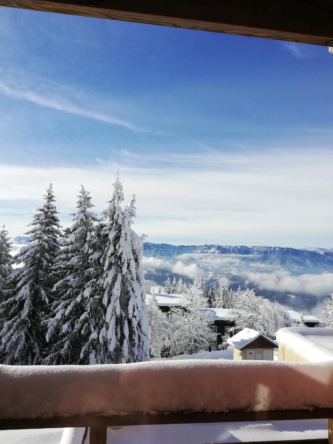 Studio Au Clos Des Gentianes Collet D'Allevard Apartman Kültér fotó